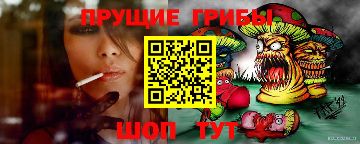 Прохладный  купить  сайты  Вход с VPN  Галлюциногенные грибы прущие грибы  Галлюциногенные грибы ЛСД 